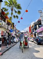 Tag 13 - Rikscha-Tour durch Georgetown 