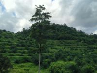 Willkommen in Malaysia