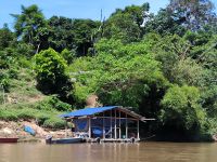 Malaysia. Taman Negara Nationalpark. Entspannte Bootsfahrt