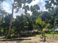 Malaysia. Taman Negara Nationalpark. Das Dorf der Orang Asli