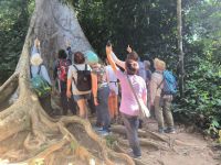 Malaysia. Taman Negara Nationalpark. So ein hoher Baum