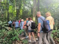 Malaysia. Wanderung im Taman Negara Nationalpark.