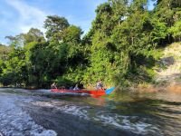 Malaysia. Taman Negara Nationalpark. 