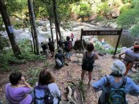 Malaysia. Taman Negara Nationalpark. Bei den Kaskaden