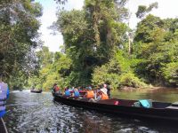 Malaysia. Taman Negara Nationalpark. 