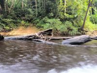 Malaysia. Taman Negara Nationalpark. Wildwasserfahrt