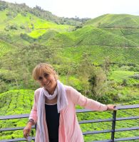 Malaysia. Cameron Highlands. In den BOH-Teeplantagen
