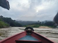 Malaysia. Taman Negara Nationalpark. Abschied im Morgennebel