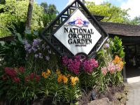 Botanischer Garten in Singapur 