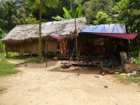 Hütten der Orang Asli im Taman Negara NP