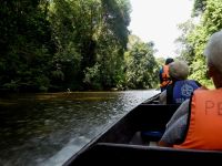 mit Motorkraft flussaufwärts im Taman Negara NP
