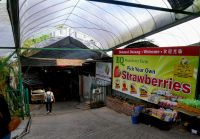 Eingang zur Erdbeerplantage 