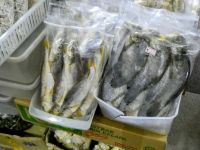 auf dem Markt in Georgetown