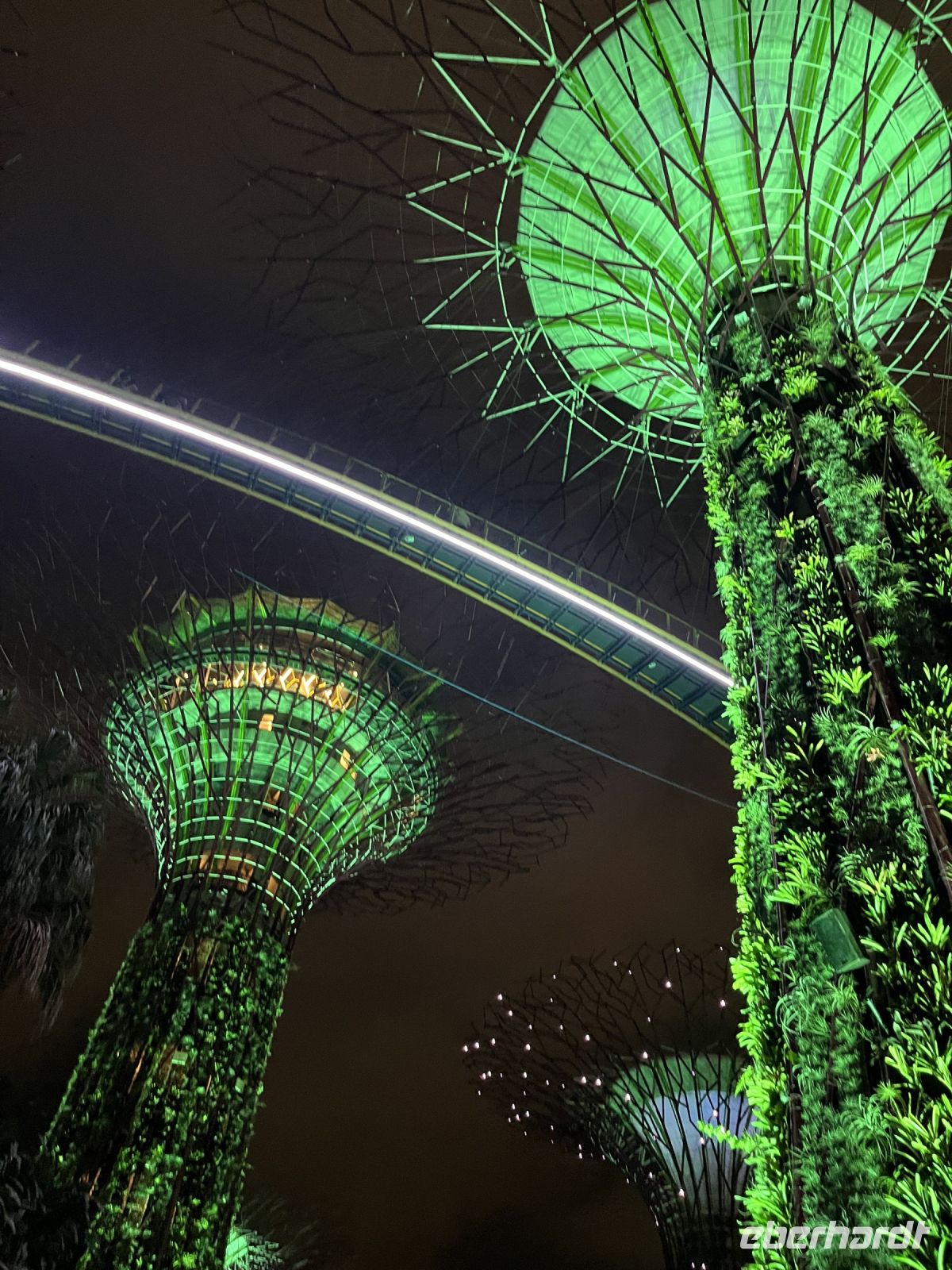 Lightshow, Supertrees, Gardens by the Bay, Singapur.jpeg