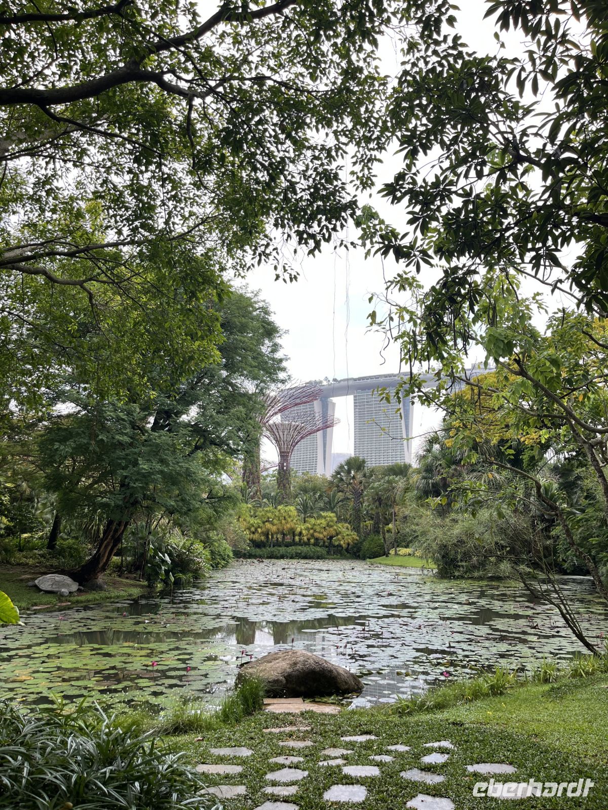 Gardens by the Bay, Singapur.jpeg