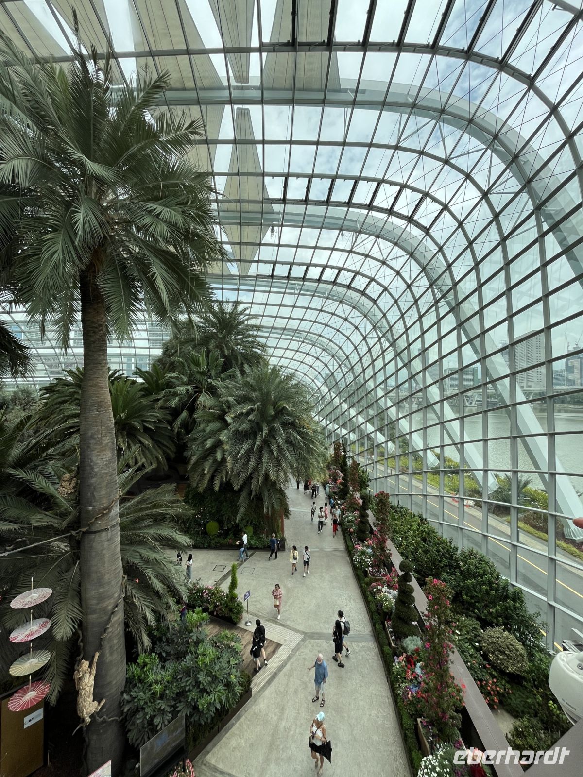 Flower Dome, Gardens by the Bay, Singapur.jpeg
