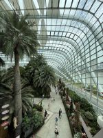Flower Dome, Gardens by the Bay, Singapur.jpeg