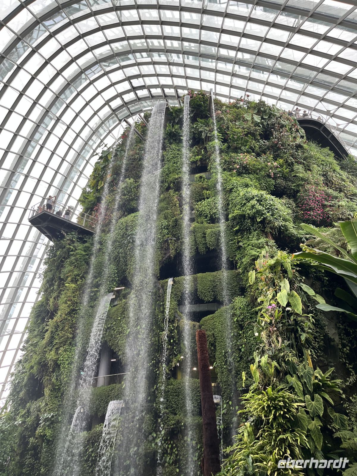 Cloud Forest, Gardens by the Bay, Singapur.jpeg