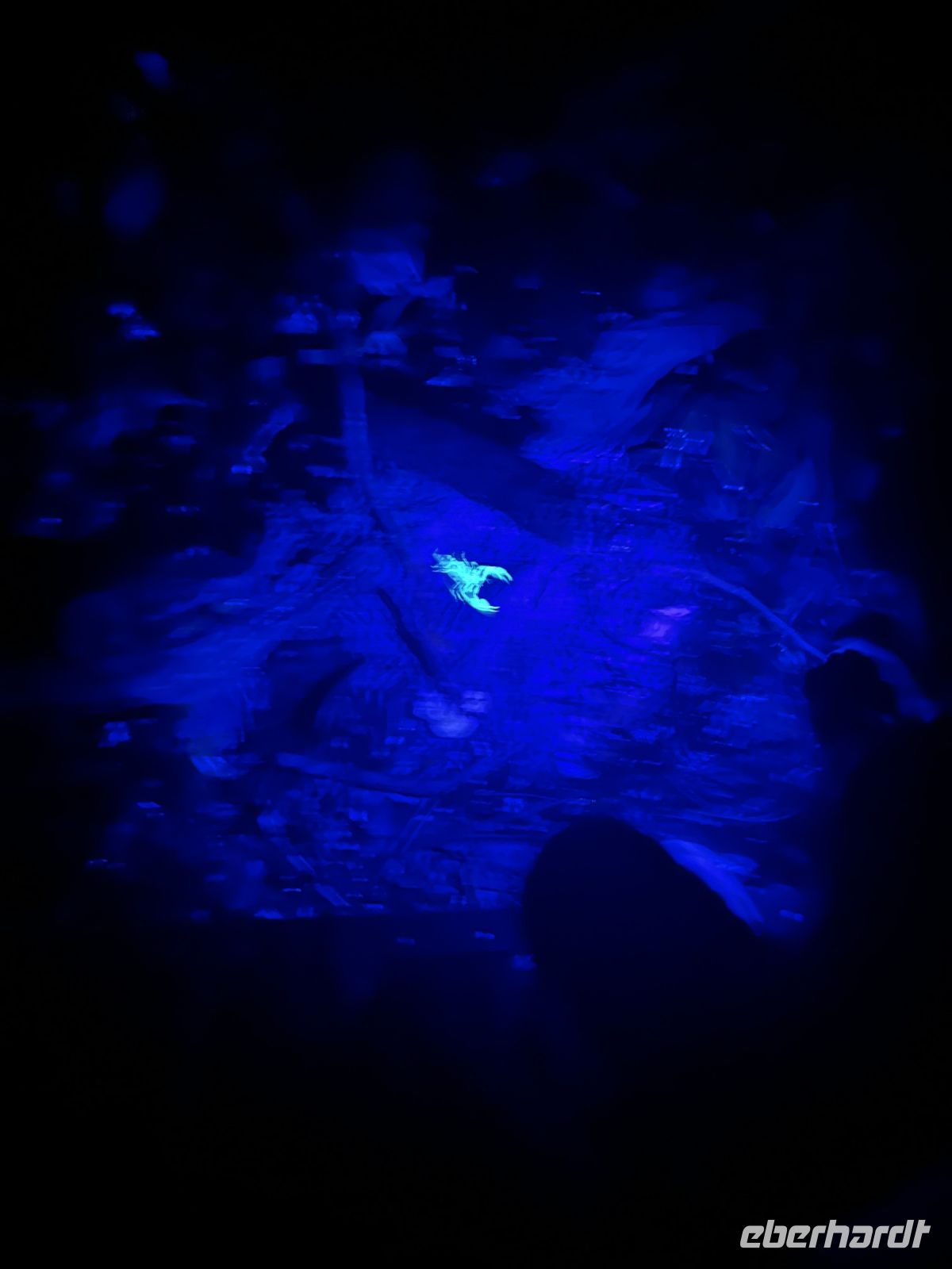 Nachtwanderung, Taman Negara, Malaysia.jpeg