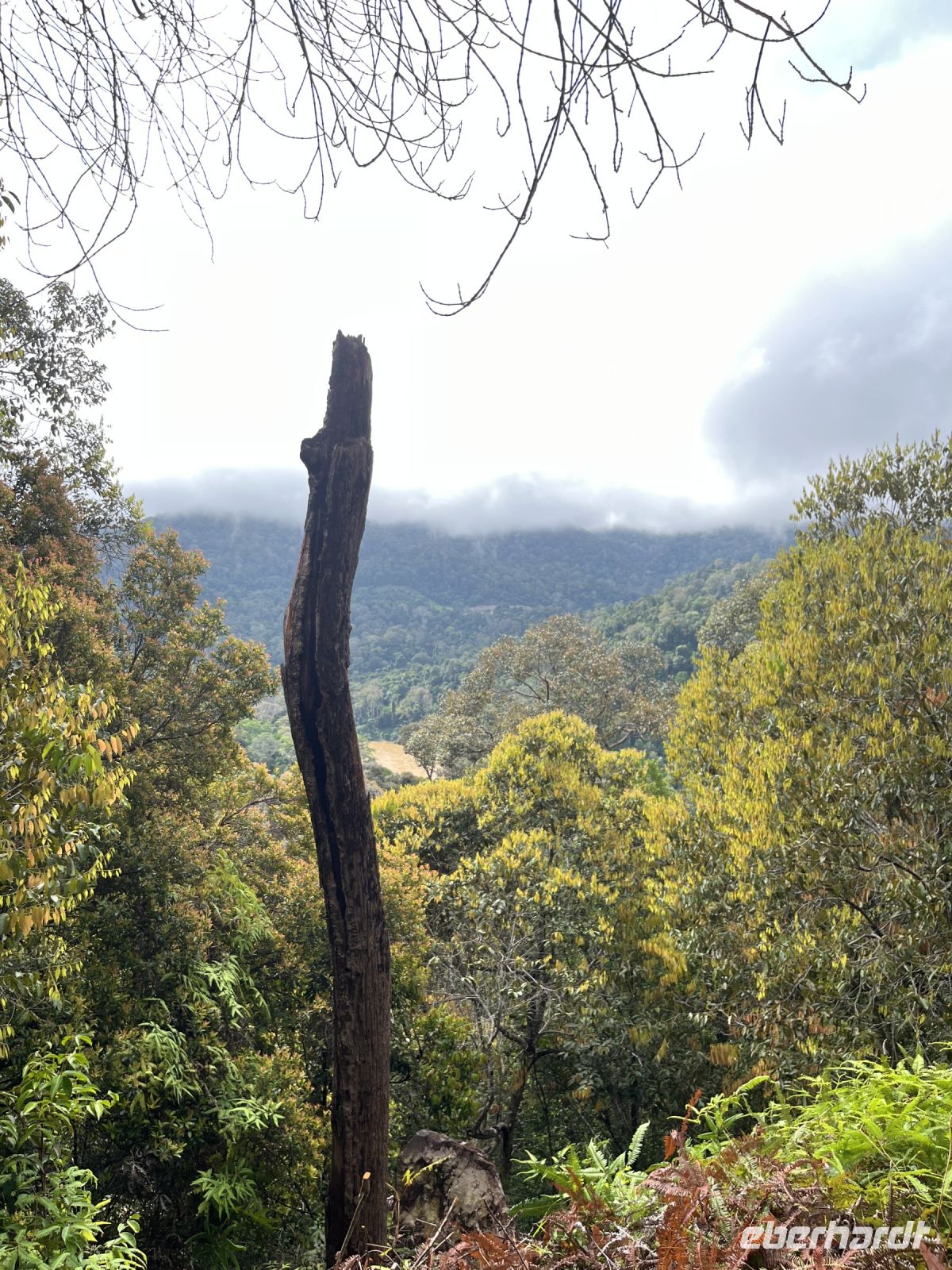 Ausblick, Wanderung, Taman Negara, Malaysia.jpeg