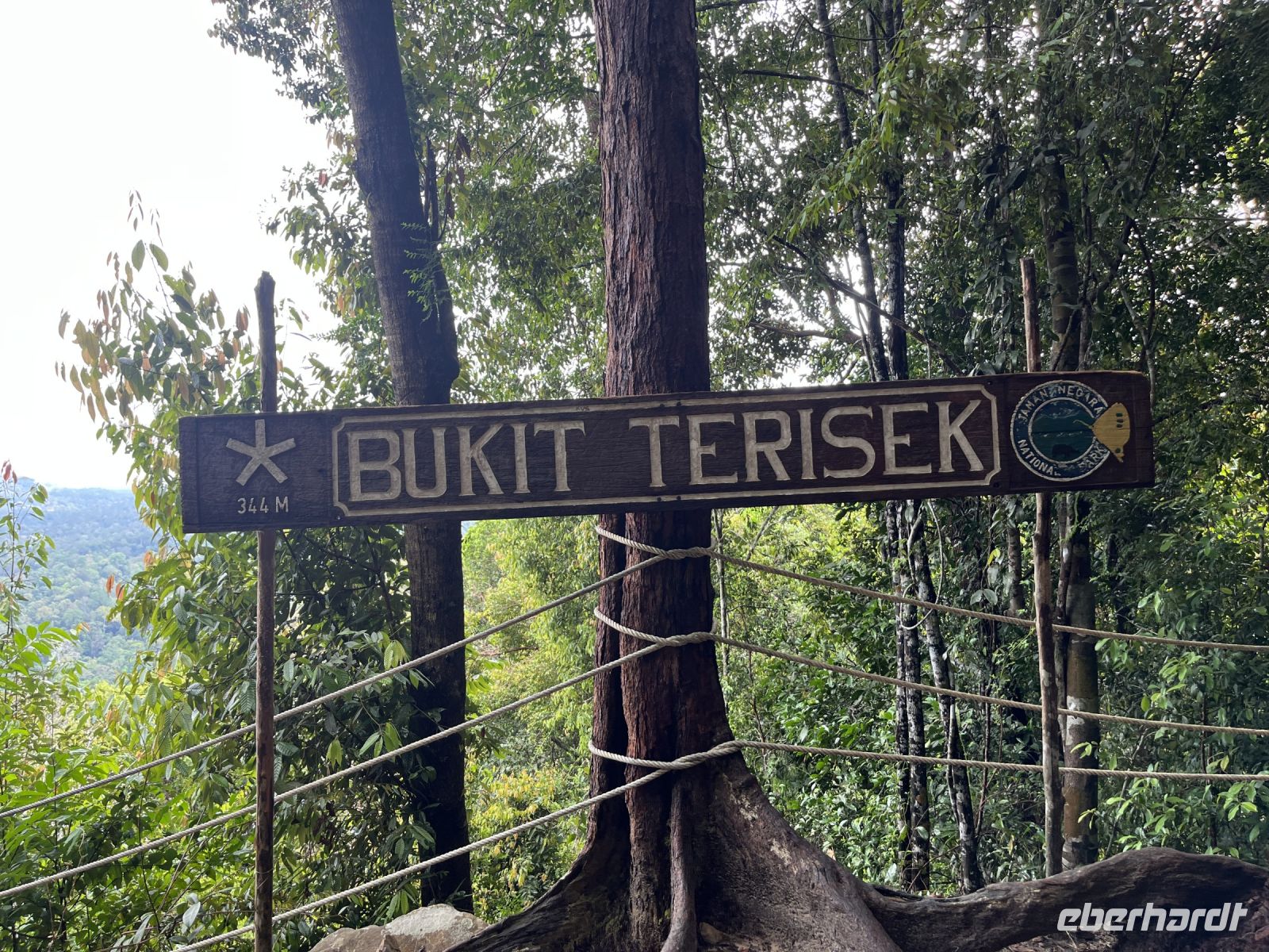 Wanderung, Taman Negara, Malaysia.jpeg