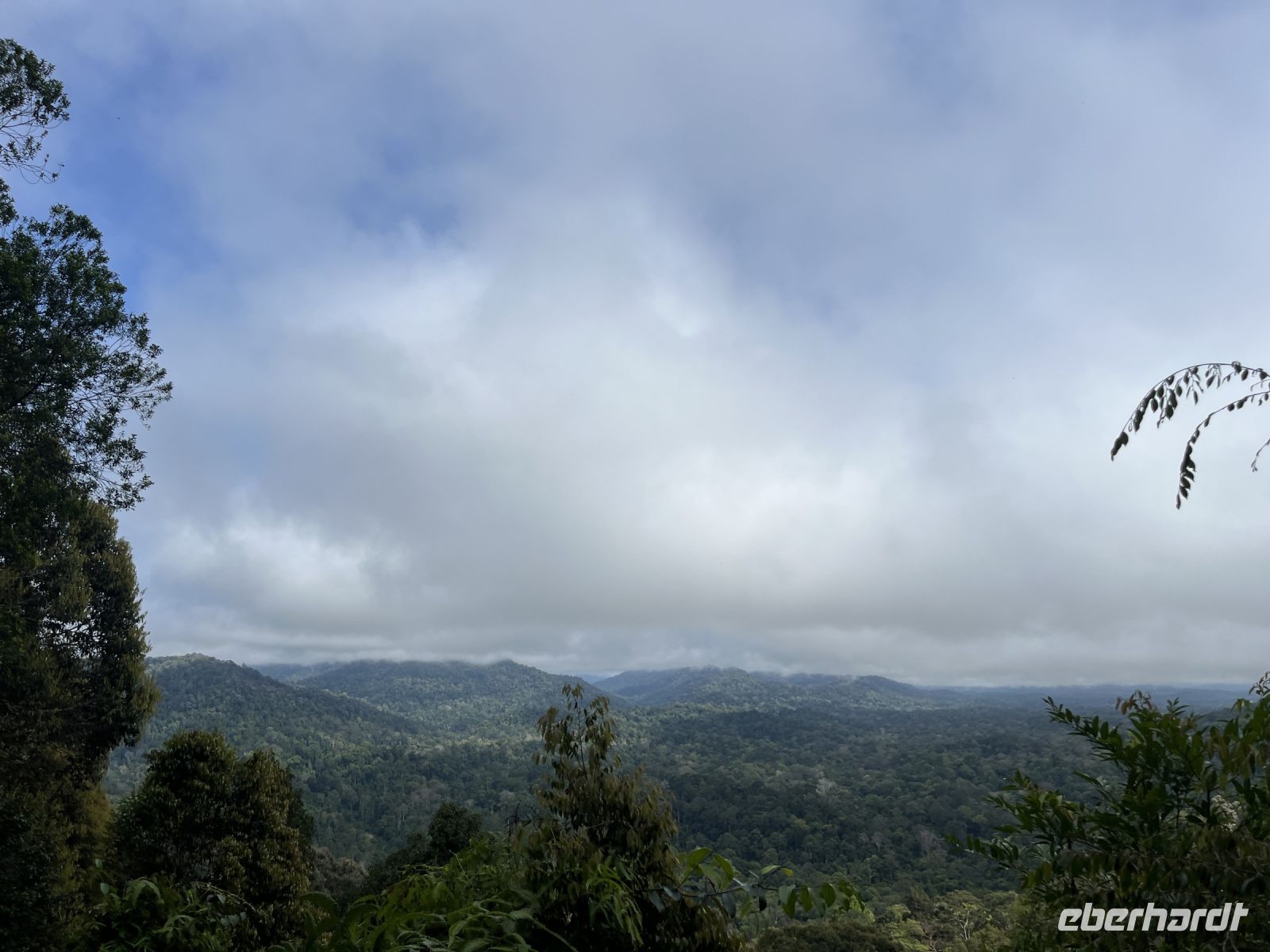 Ausblick, Wanderung, Taman Negara, Malaysia.jpeg