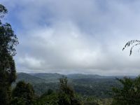 Ausblick, Wanderung, Taman Negara, Malaysia.jpeg
