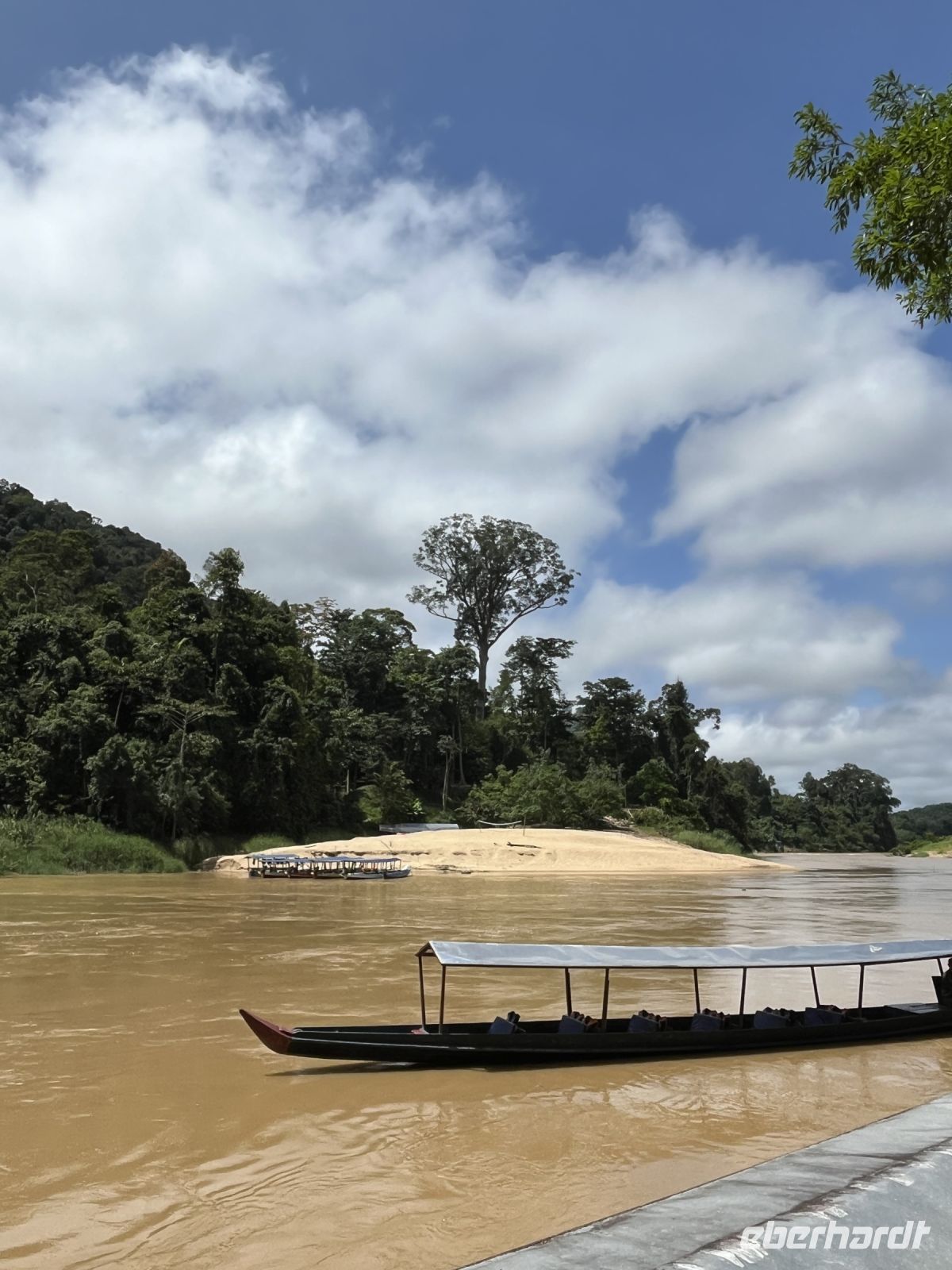 Fluss, Taman Negara, Malaysia.jpeg