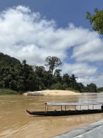 Fluss, Taman Negara, Malaysia.jpeg
