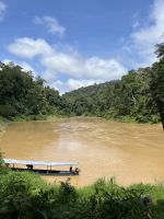 Fluss, Taman Negara, Malaysia.jpeg