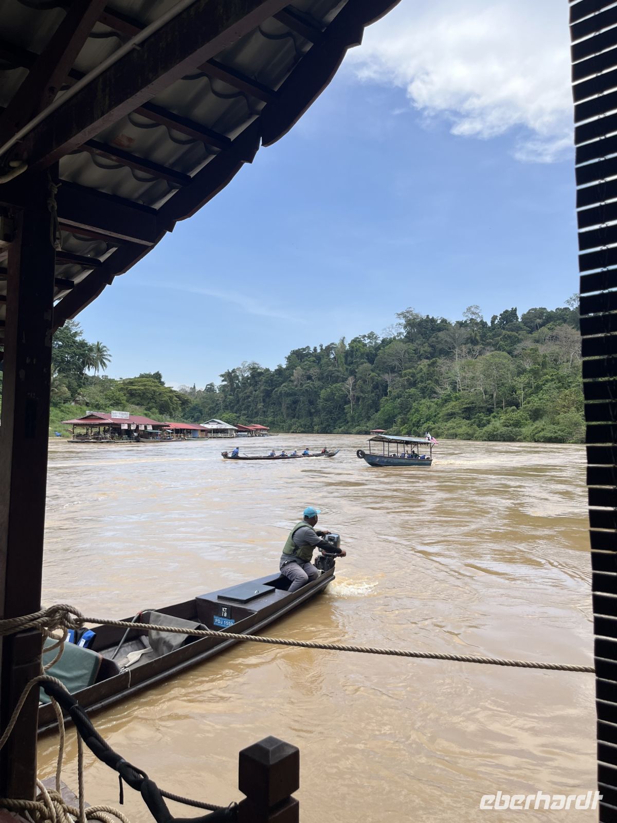 Fluss, Taman Negara, Malaysia.jpeg