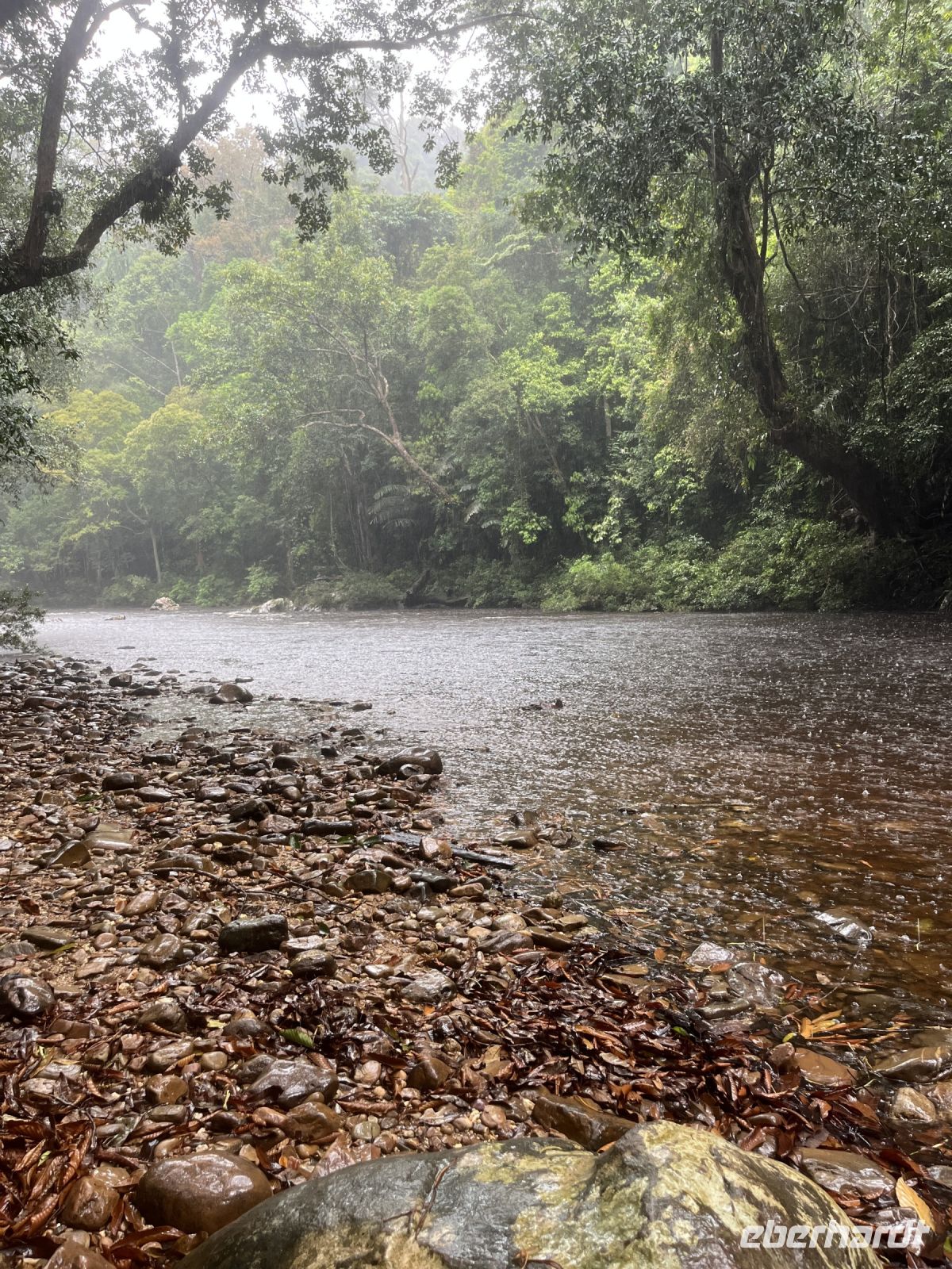 Regen, Fluss, Taman Negara, Malaysia.jpeg