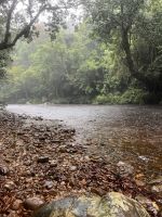 Regen, Fluss, Taman Negara, Malaysia.jpeg