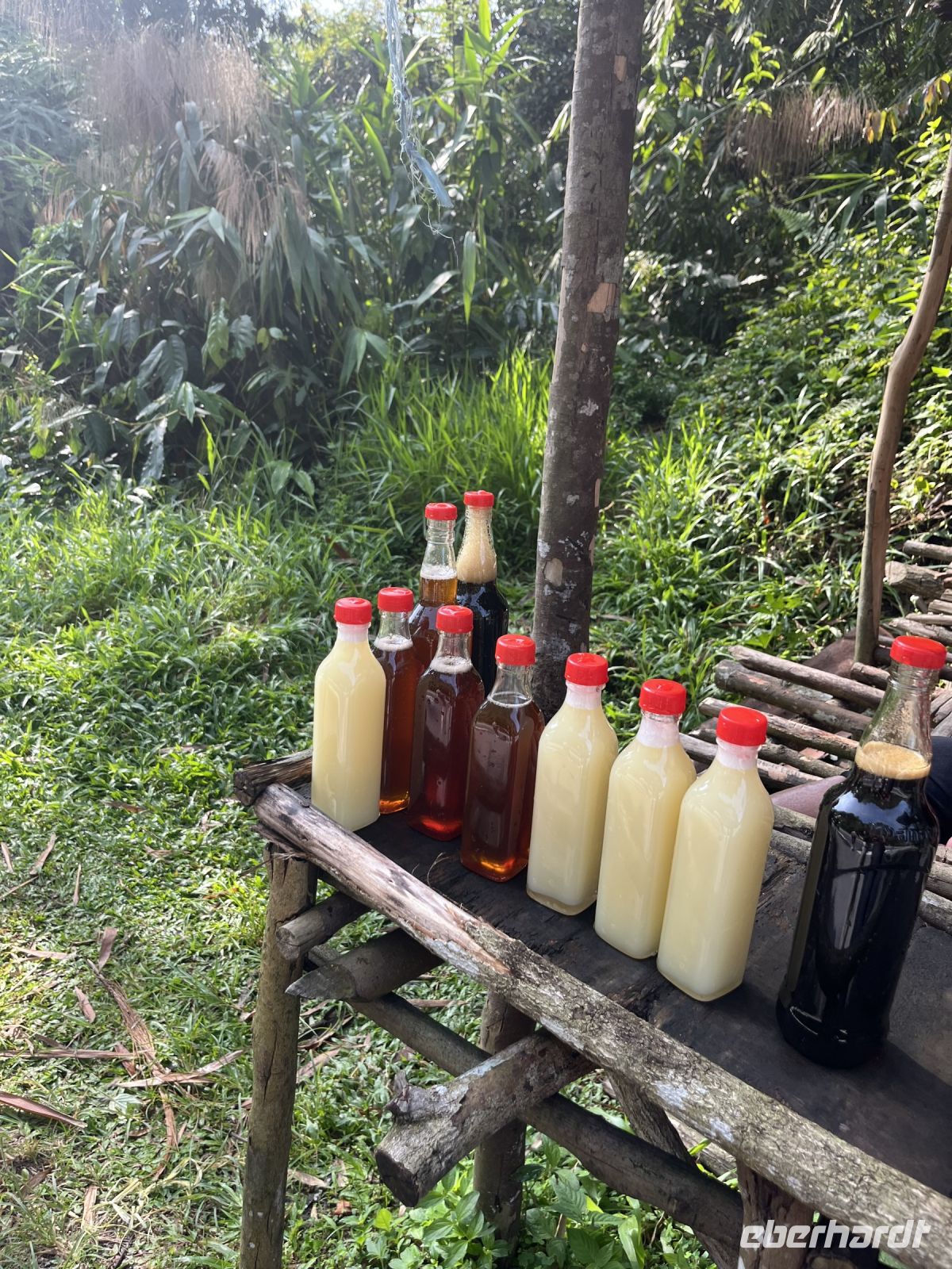 Honigverkauf am Straßenrand, Cameron Highlands, Malaysia.jpeg