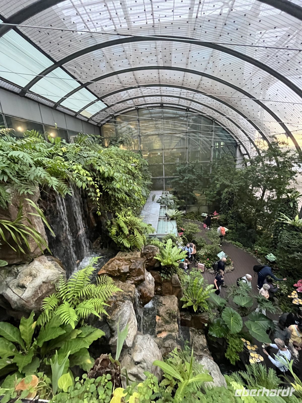 Flughafen, Singapur.jpeg