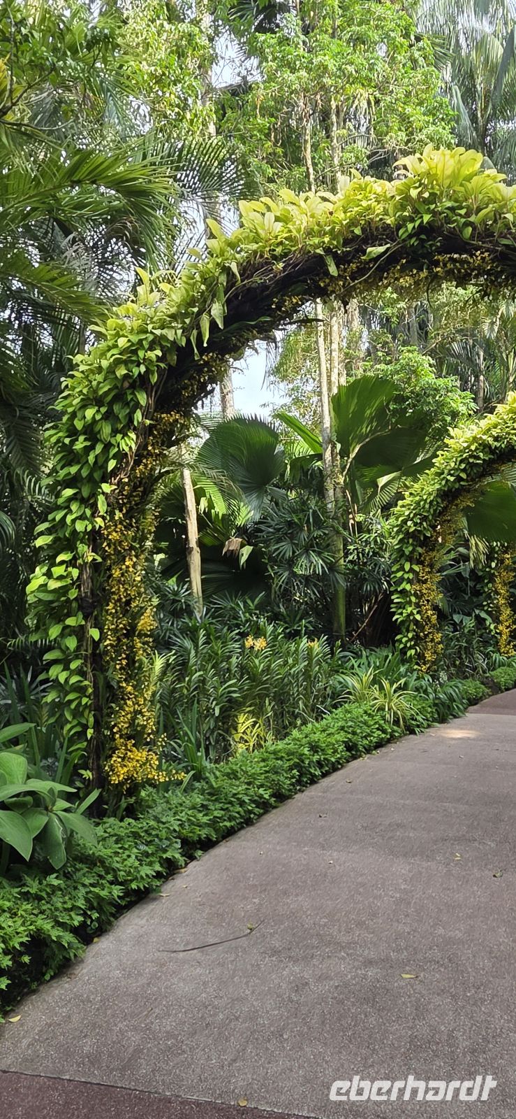 National Orchid Graden - Singapur