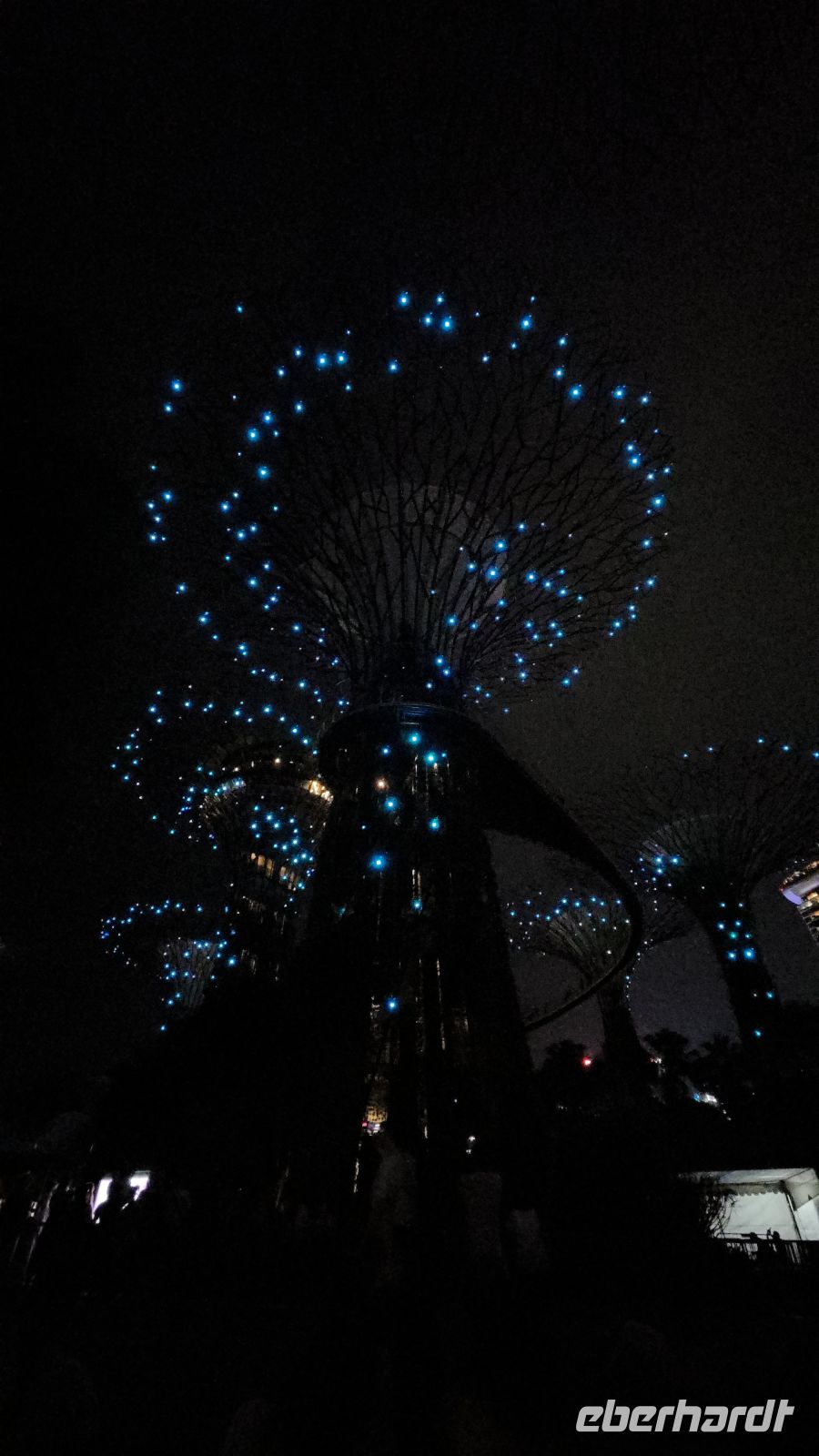Gardens by the Bay am Abend - Singapur 