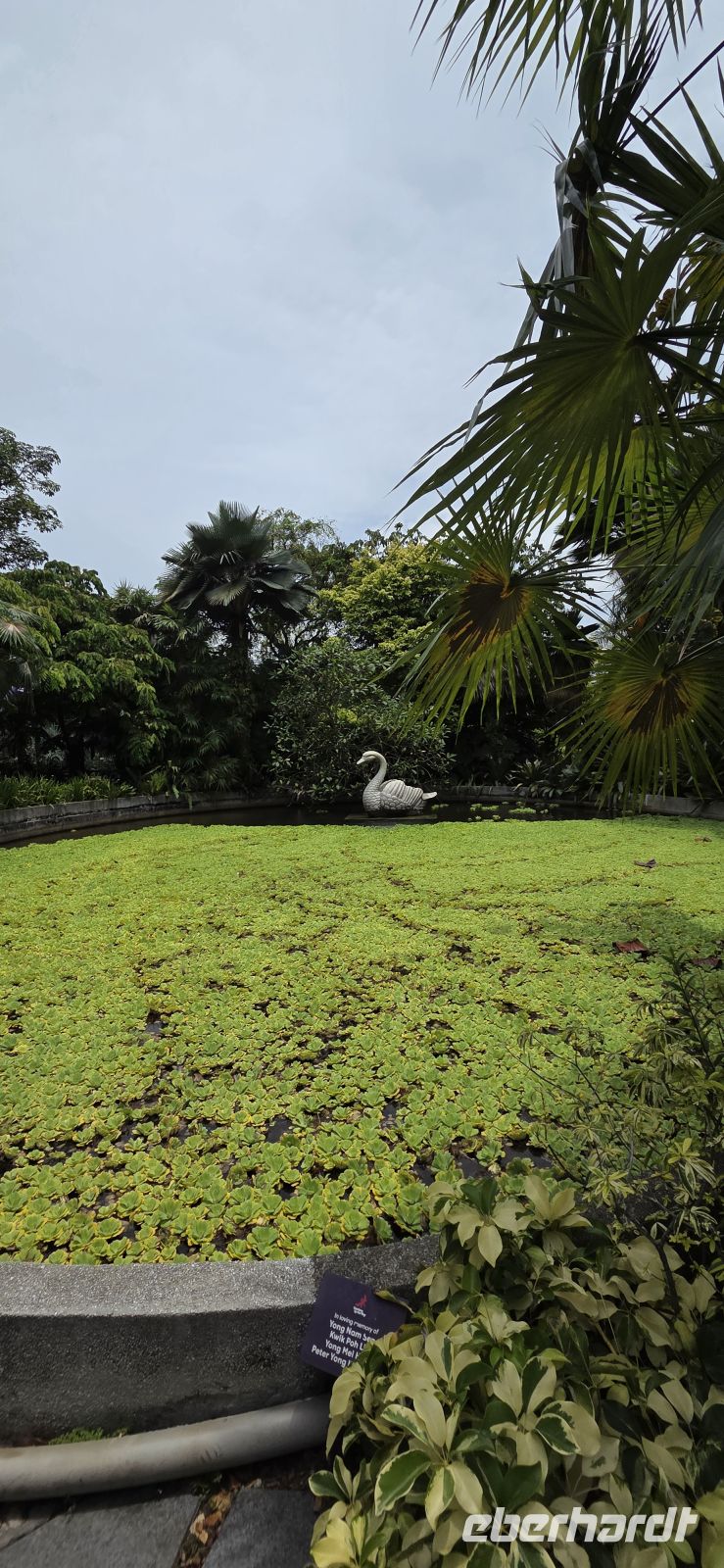 Gardens by the Bay - Singapur 