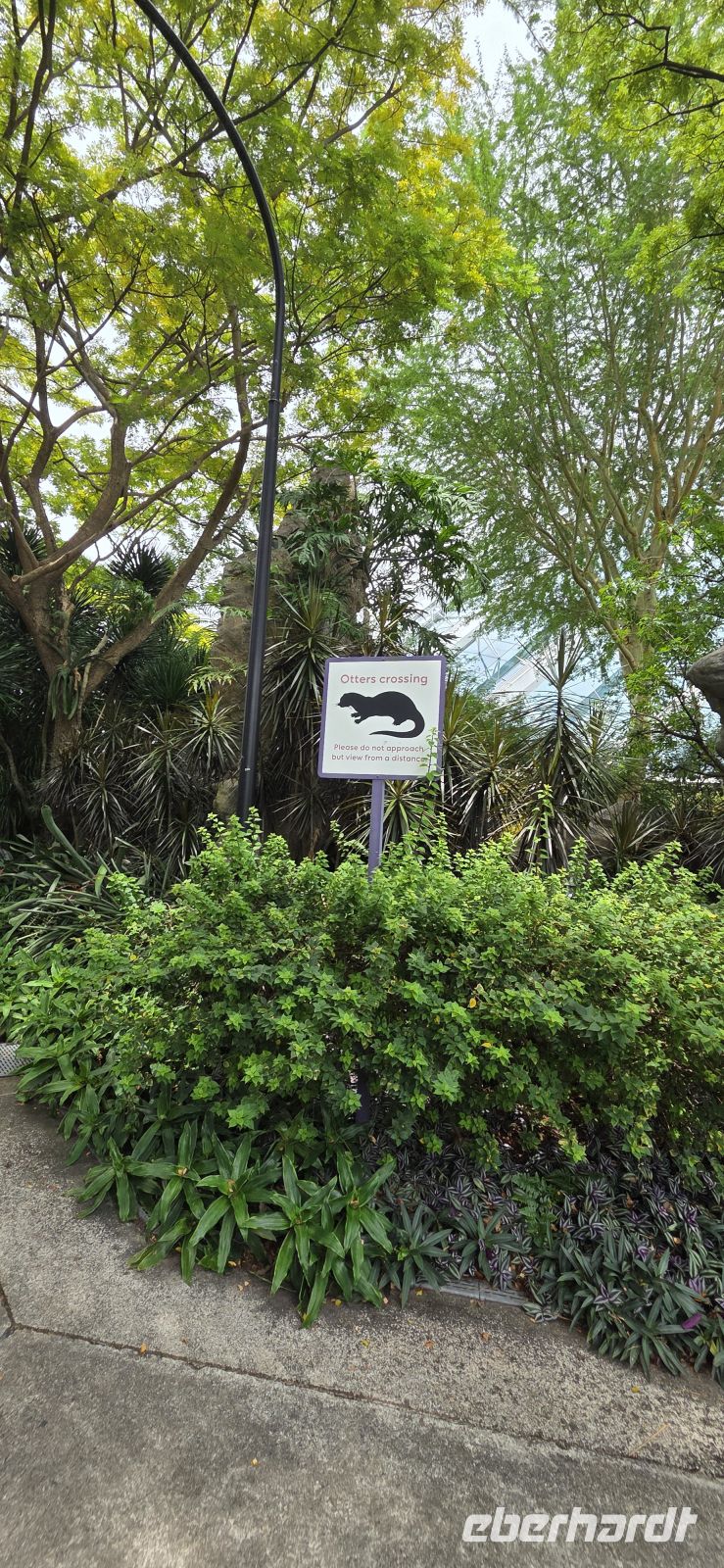 Gardens by the Bay - Singapur 