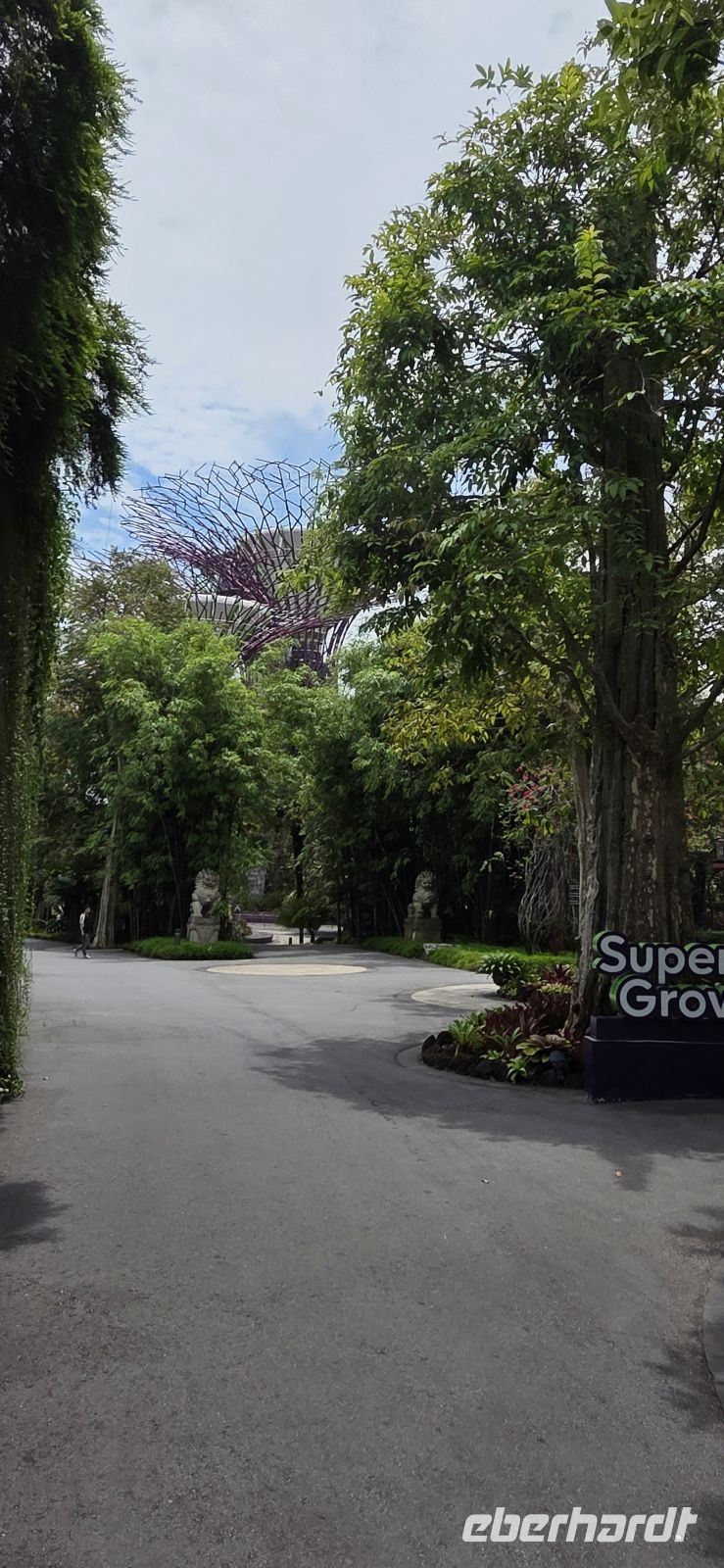  Supertree Grove - Singapur 