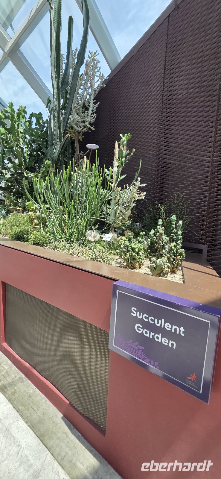 Flower Dome - Singapur 