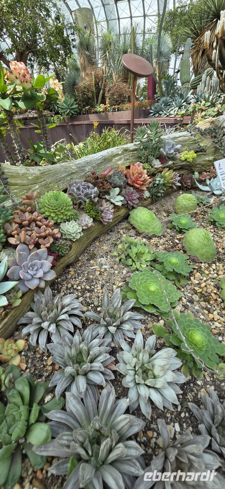 Flower Dome - Singapur 