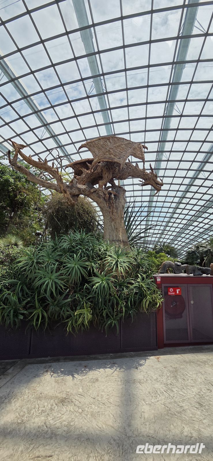 Flower Dome - Singapur 