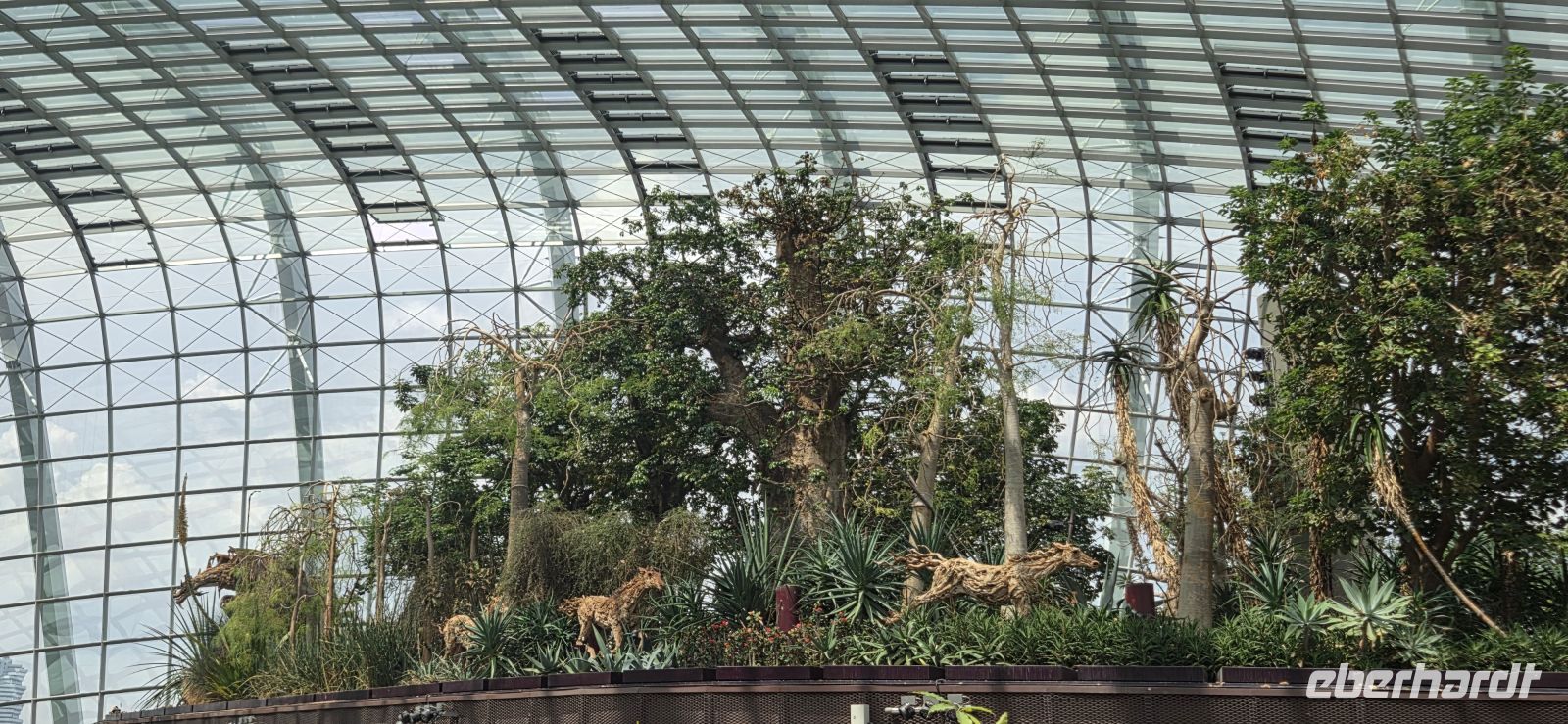 Flower Dome - Singapur 