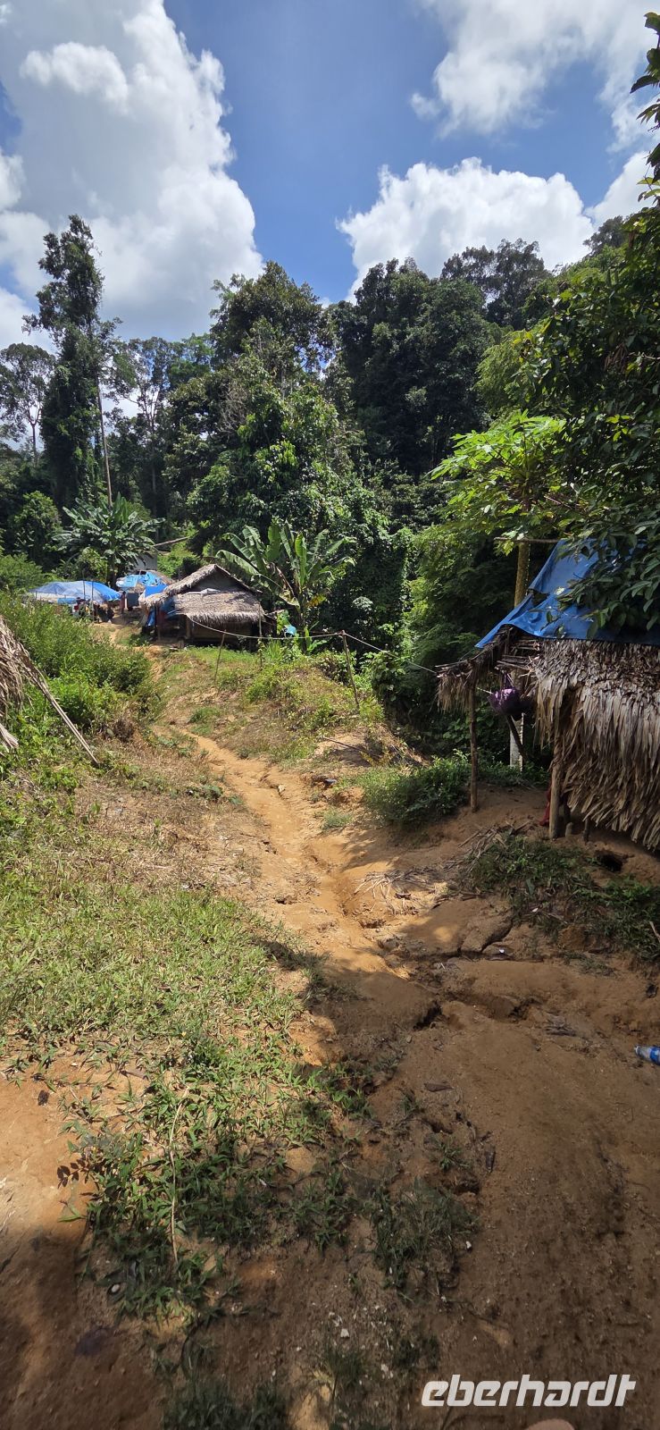 Oran Asli - Taman Negara