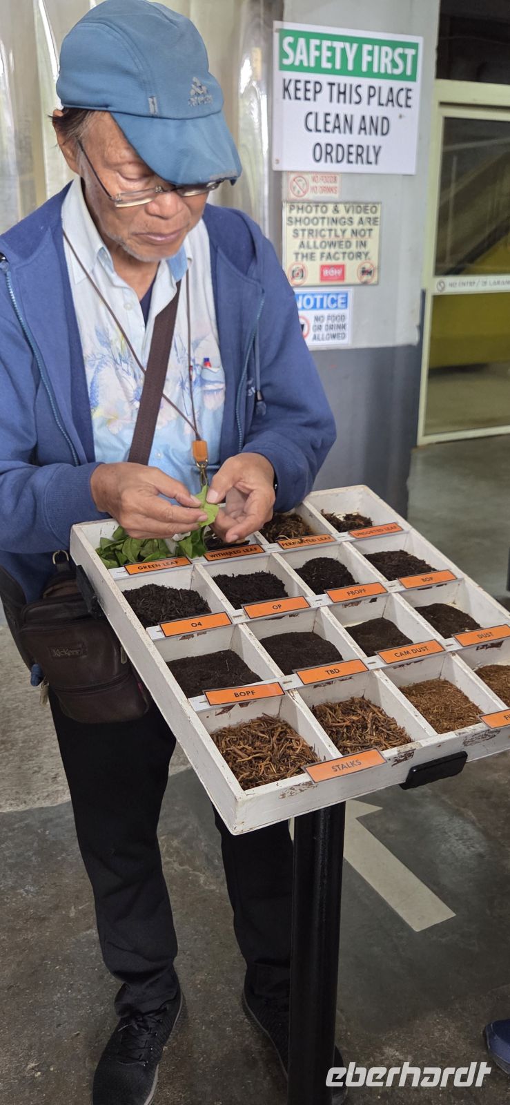 Boh Teeplantage - Cameron Highlands