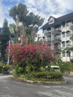 ...in den Cameron Highlands (4) &ndash; &copy; Thomas Krupp (Eberhardt TRAVEL)