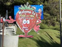 Erdbeer Farm (1) &ndash; &copy; Thomas Krupp (Eberhardt TRAVEL)