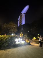 Lichhtshow bei den Supertrees (1) &ndash; &copy; Thomas Krupp (Eberhardt TRAVEL)