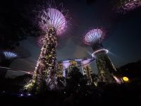 Lichhtshow bei den Supertrees (3) &ndash; &copy; Thomas Krupp (Eberhardt TRAVEL)